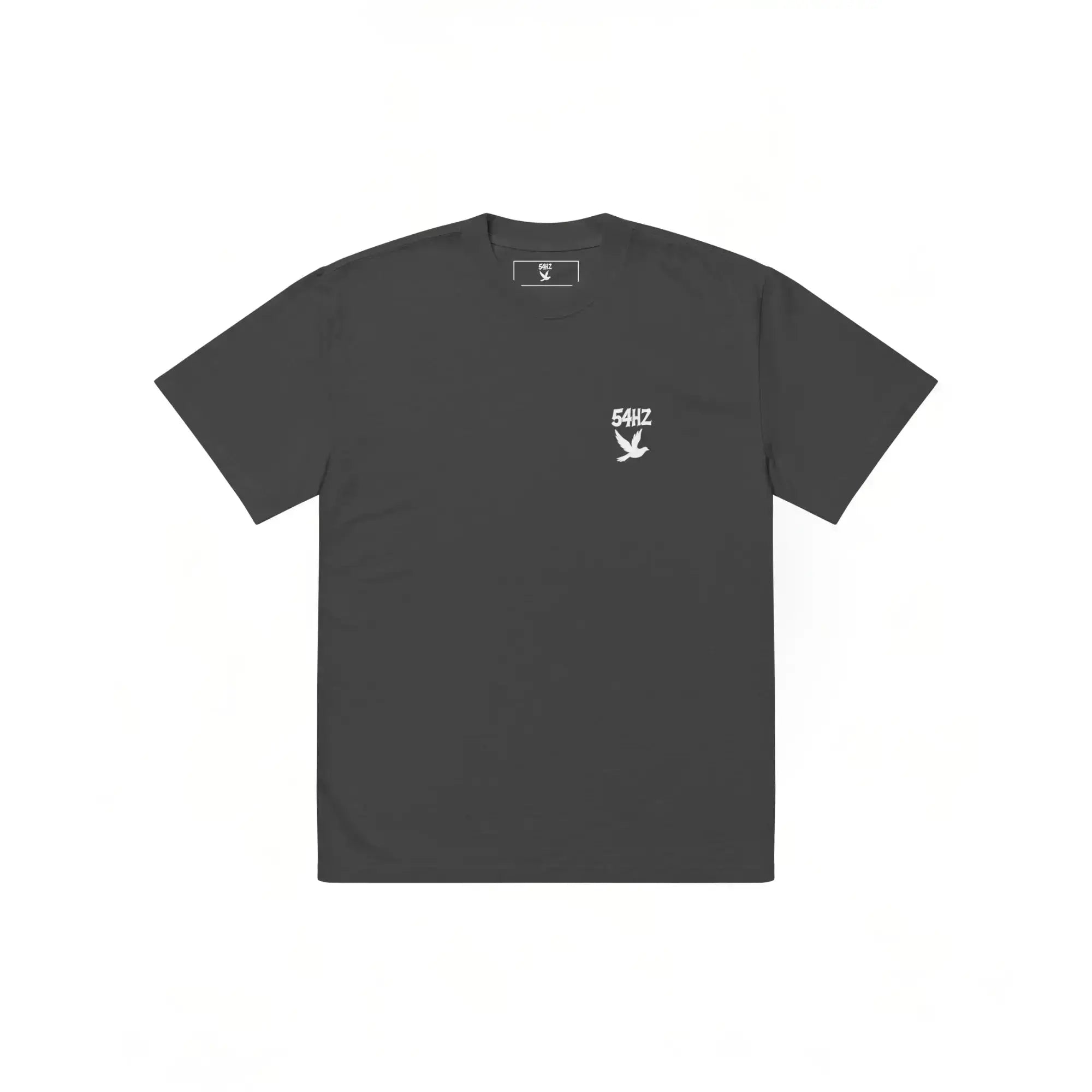 T-shirt 54HZ oversize - « Wear The Frequency Of Peace » 54HZ